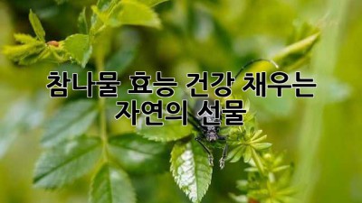 참나물 효능: 건강 채우는 자연의 선물